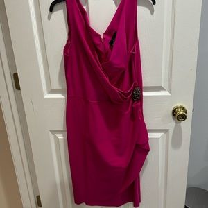 Brand New Alex Evening Fuchsia dress